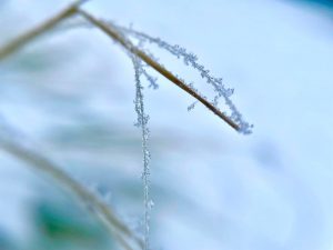 248037117_4756754134453234_5019451340622213714_n