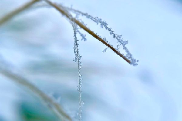 248037117_4756754134453234_5019451340622213714_n