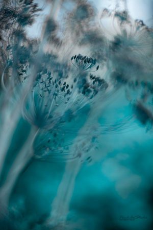 35829025_2077997442446920_2348797973573402624_n