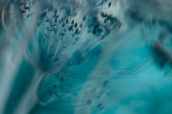 35829025_2077997442446920_2348797973573402624_n