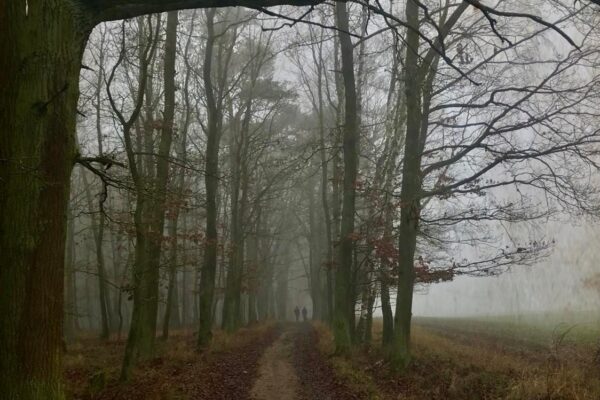 273859484_648489693156917_7965537288556076176_n