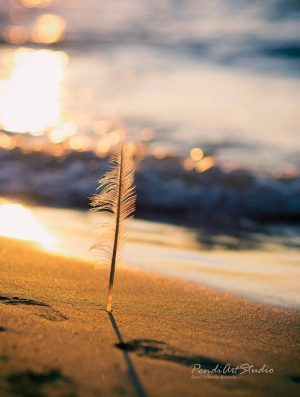 13913696_1750639825182685_4729634978333116560_o