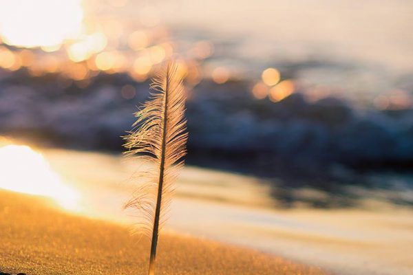 13913696_1750639825182685_4729634978333116560_o