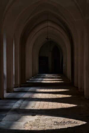 13652914_1751635651749769_7088371426122114050_o